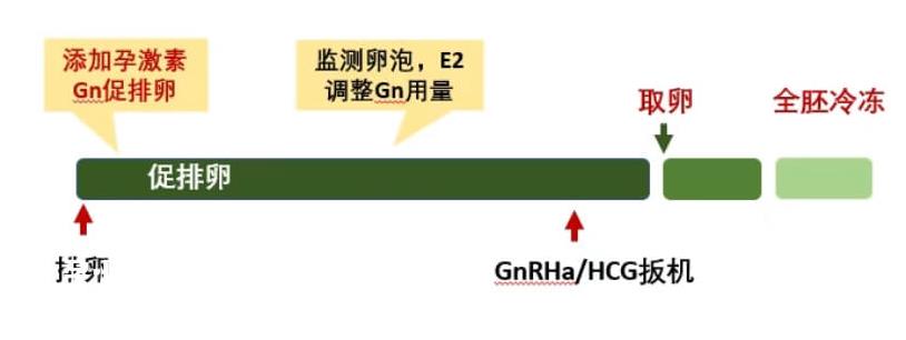 方案.jpg