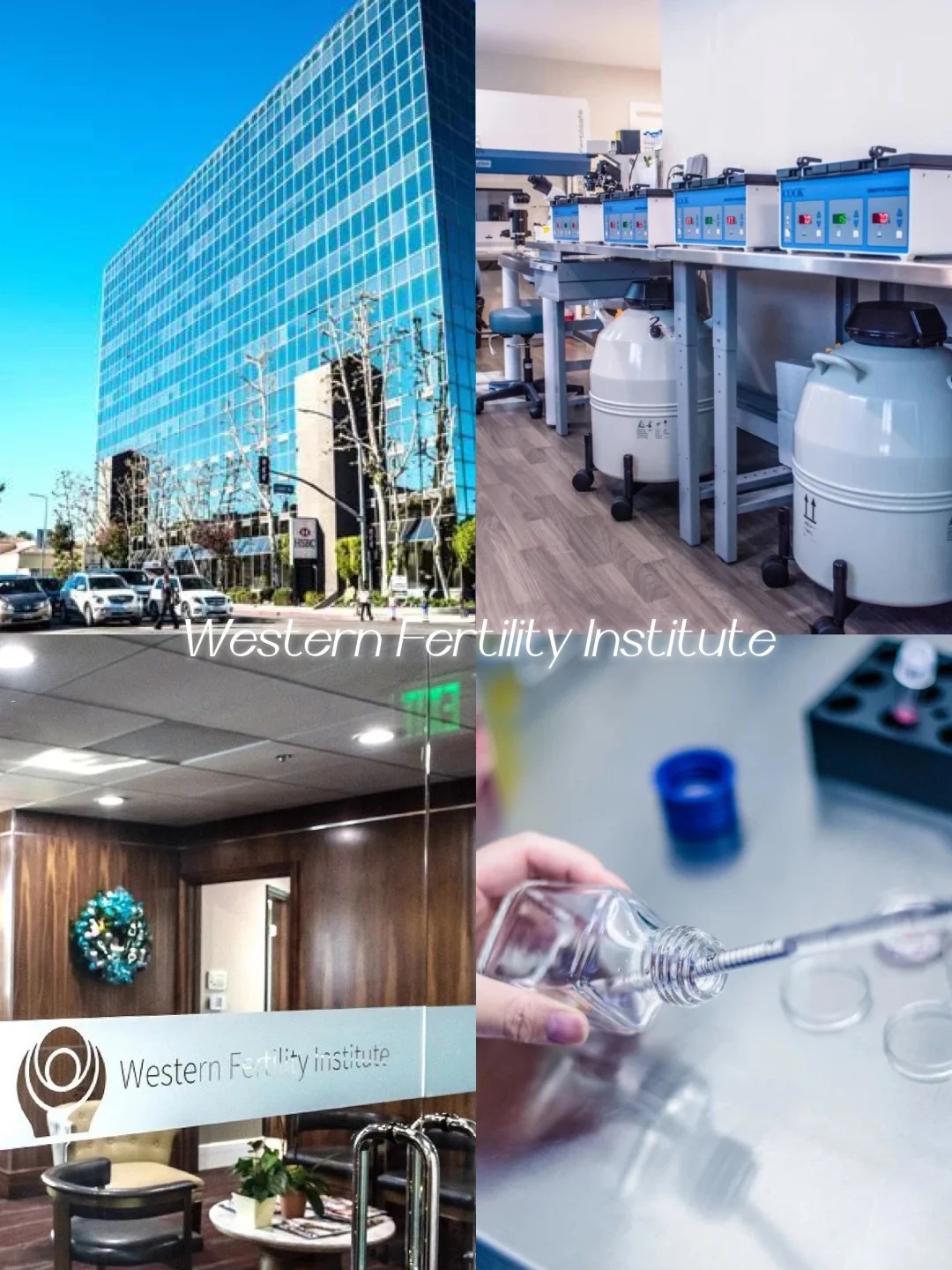 美国WFI（Western Fertility Institute）_1_WFI-西海岸医疗_来自小红书网页版.jpg