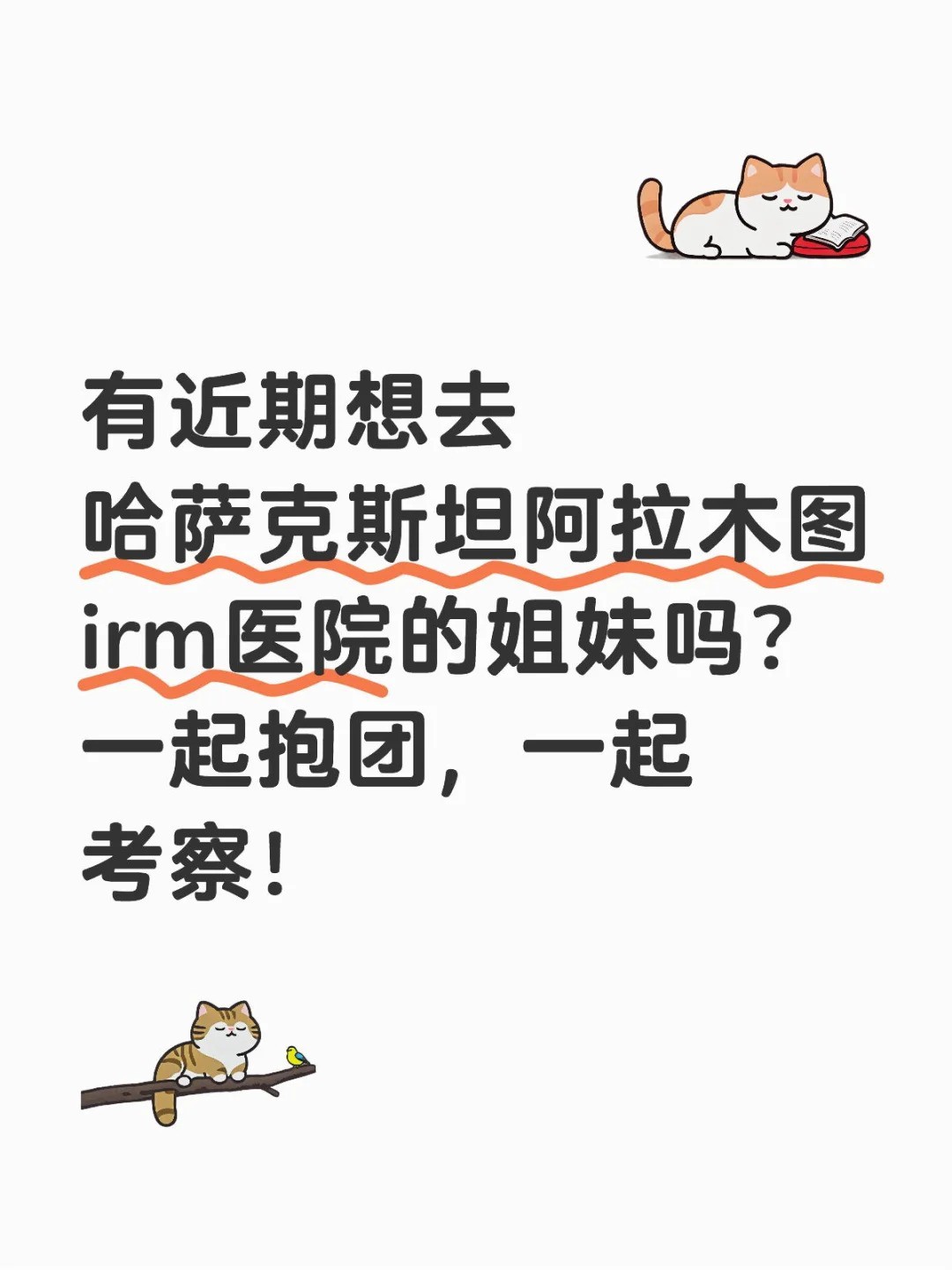 _1_桃子_来自小红书网页版.jpg